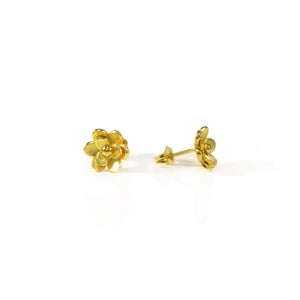 Wild Flowers Post Earrings